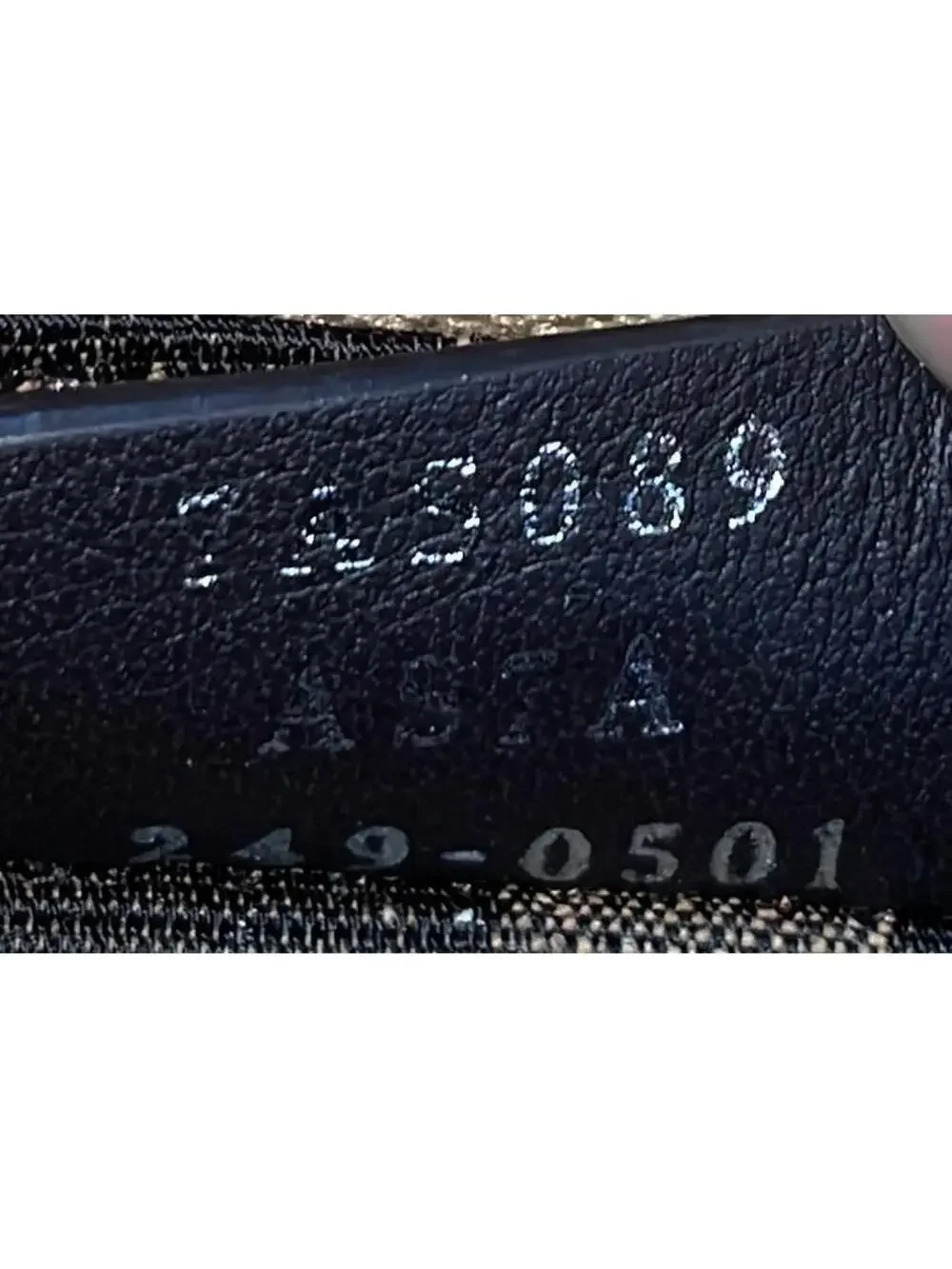 Fendigraphy Bag Leather Nano #244492F14B